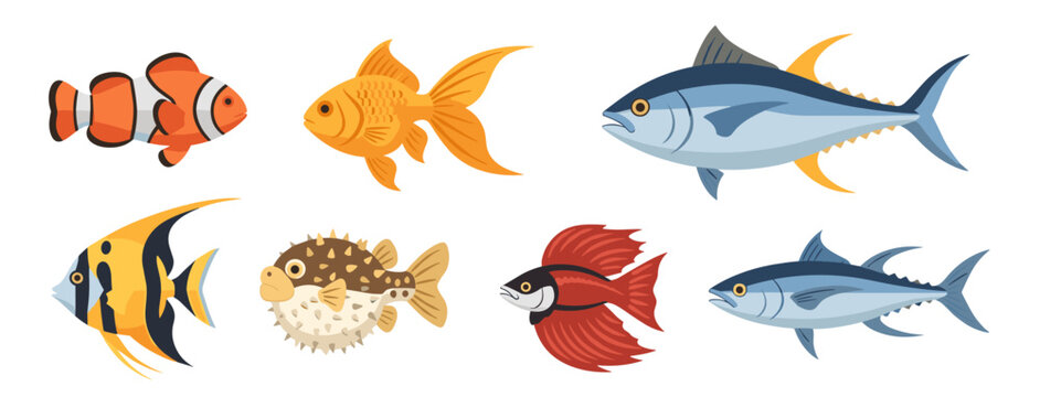 Set of colorful saltwater and freshwater fish collection, including goldfish, tuna, clownfish and pufferfish, aquatic wildlife illustration icons