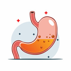 Fototapeta premium Illustration of a Human Stomach with Digestive Juices