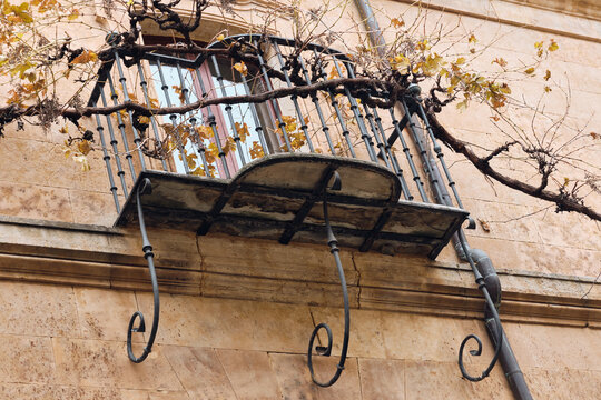 Salamanca, Spain - 29 November 2025: View of an ornate wrought-iron balcony on a historic stone facade with climbing vines and autumn leaves.