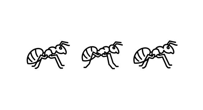 Three black and white stylized ant illustrations in a row.