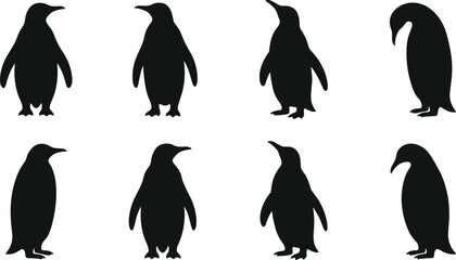 Eight Black Penguin Silhouette Set in Different Poses Isolated on White Background for Wildlife, Nature, and Animal Design Projects © MstTazmina