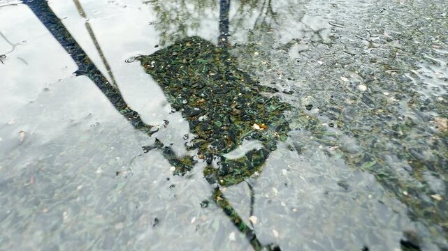An empty swing set stands on a wet rubber safety floor. Rainwater drops fall around the playground structures under a dim, overcast sky.
