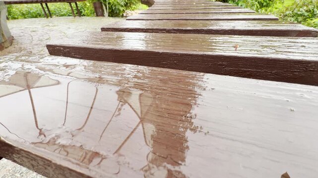 A long wooden park bench collects puddles during a gentle rain shower. The slick brown planks clearly reflect the shapes of umbrellas overhead against a leafy background.