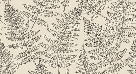 Obraz premium Fern
