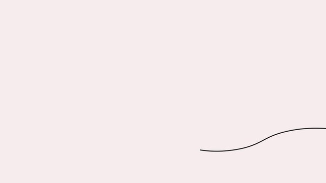 Rose flower continuous line 4K Animation Video minimalist motion background