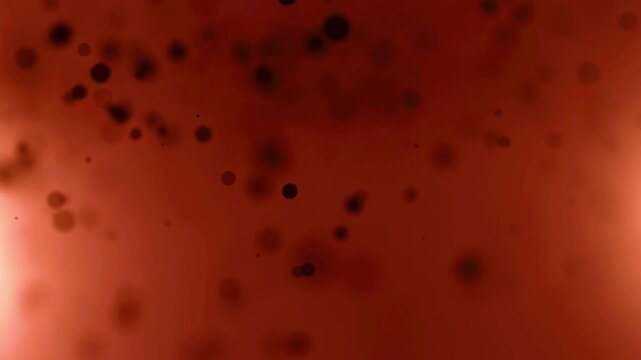 Cells under microscope visualization representing functional genomics research and live cell imaging technology development in 4K Ultra HD footage
