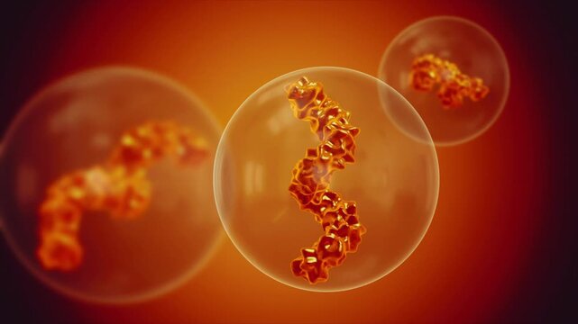 Bacteria cells colony growth under light microscope representing microbial strain isolation and antibiotic susceptibility science research in 4K Ultra HD footage
