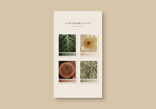 Color Palette Presentation Template For Brand Guidelines, Mood Board Deck, Swatch Card & Look Book Mockup