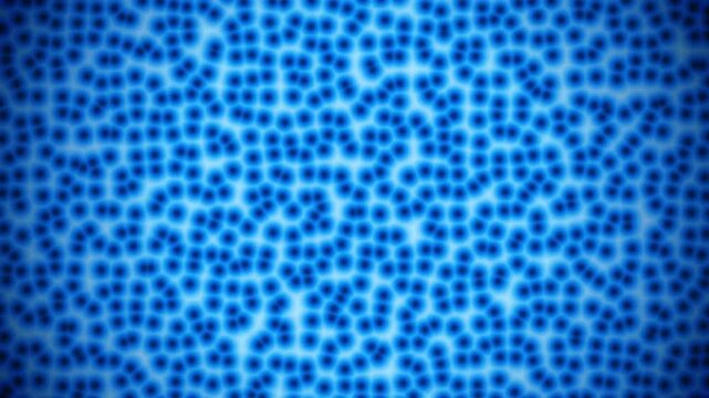 Embryonic cells cleavage under light microscope representing stem cell differentiation and blastocyst embryo development medical research in 4K Ultra HD footage

