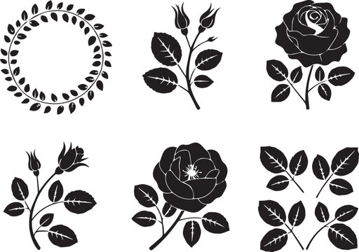 Black and white rose and leaf sketches with thorns Vector
