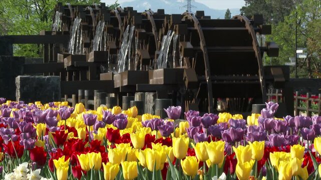 砺波チューリップ公園の五連水車