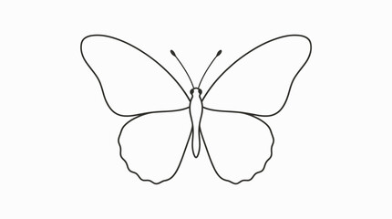 Line Art Butterfly Outline, Simple Vector Insect Drawing, Isolated on White Background © hari