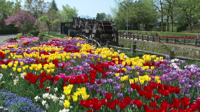 砺波チューリップ公園の五連水車