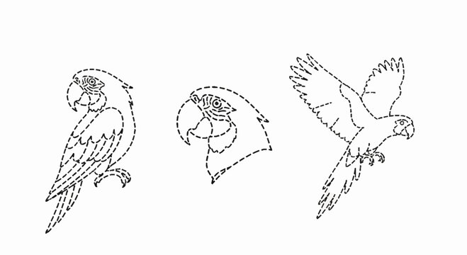 Dotted line macaw parrot silhouette icons set
