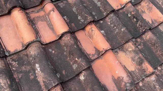 Old Clay Roof Tiles with Moss and Weathered Texture