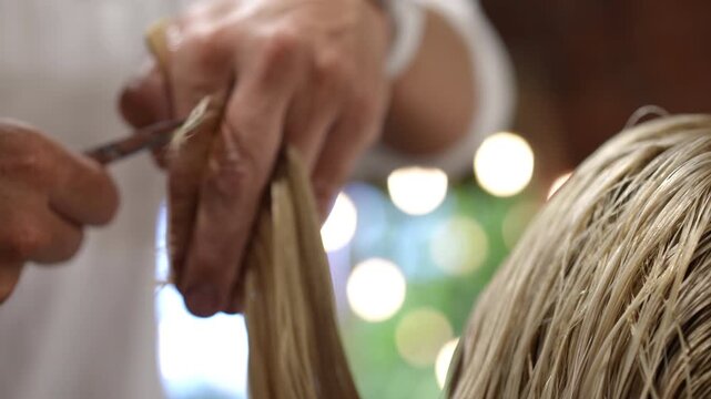 Close-up video showing a stylist's hands cutting the split ends of a woman's wet, blonde hair. Haircare and beauty salon concept