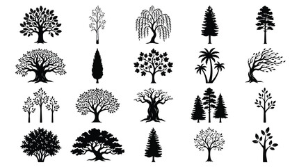 Fototapeta premium Black tree silhouette collection, 20 nature plant icons vector set, botanical forest and garden tree shapes for landscape design and mapping
