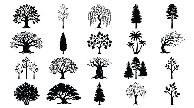 Black tree silhouette collection, 20 nature plant icons vector set, botanical forest and garden tree shapes for landscape design and mapping