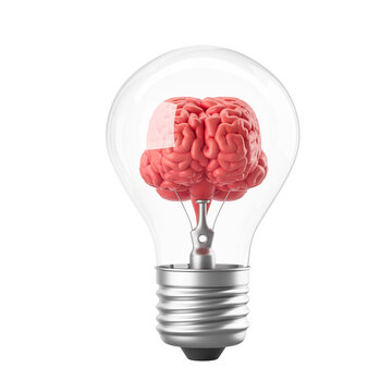 A lightbulb containing a human brain shown in realistic style on white background, concept of creativity and innovation, 3D Rendering