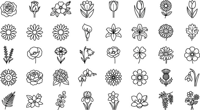 Black and White Floral Line Icon Set with Rose Tulip Daisy Lavender Sunflower Iris and Wildflower Outline Designs