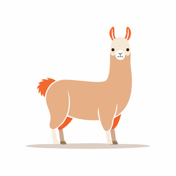 Cute cartoon llama illustration