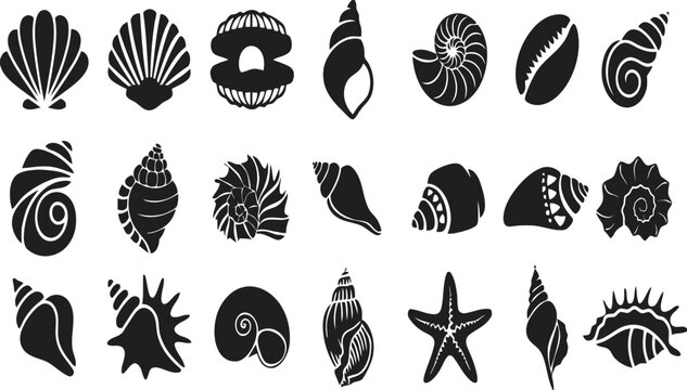 Seashell silhouette icons set, 21 black sea shell vector elements, nautical beach mollusk and starfish collection for summer branding