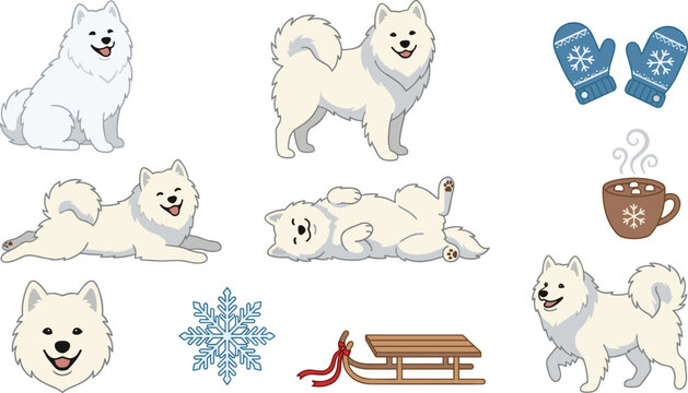 Samoyed Winter Dog Collection Vector Illustration Featuring Snowy Season Activities Cozy Accessories Playful Poses and Fluffy Arctic Canine Lifestyle Elements