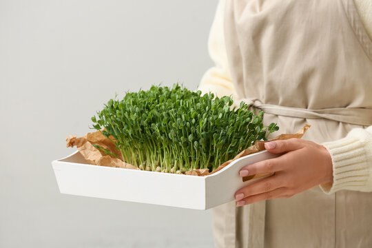 Young woman holding box with fresh micro green on white background, closeup