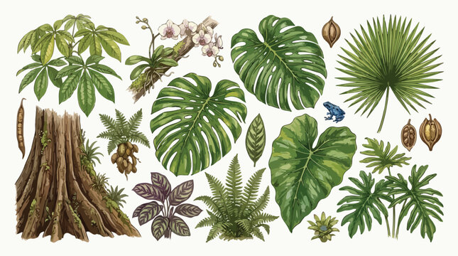 Vintage tropical leaves collection, botanical jungle plant illustrations, monstera and palm leaf set, exotic rainforest greenery vector elements