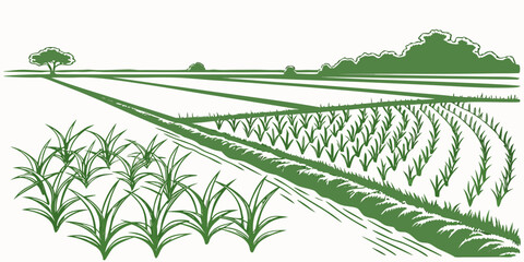 Green stylized landscape of a vast rice paddy field with crops agriculture landscape cultivation farmland environment countryside plantation vegetation production illustration minimalist © Mithila
