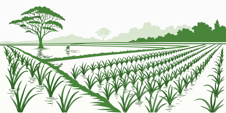 Agricultural landscape showing a farmer in a lush rice paddy field with agriculture landscape cultivation farmland environment countryside plantation vegetation production illustration