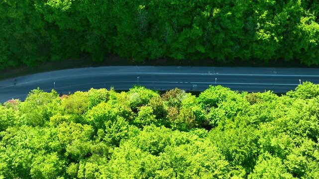 Cinematic topdown view of a winding road cutting through a dense green forest in Gdynia, Poland. Perfect for travel, sustainability, and naturethemed projects.