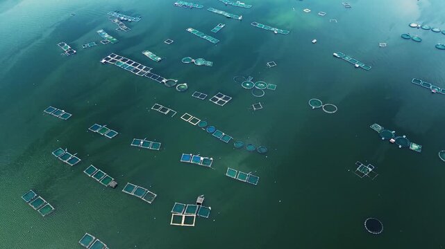 FPV aerial flythrough above rural fish pond landscape near Taal Lake in Laurel Batangas Philippines.