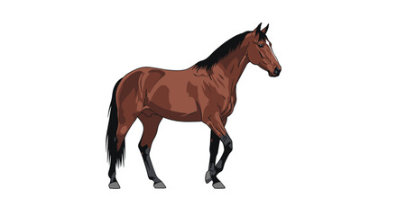 Obraz premium Graceful brown horse with a black mane and tail walking across a clean white background with subtle shadows and highlights on its coat.