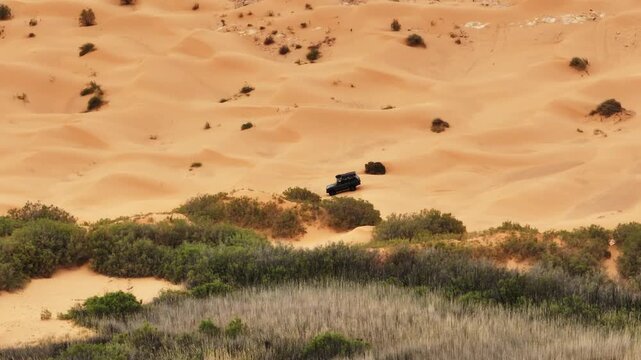 Aerial drone orbit around of a black Range Rover Classic parked by a lush oasis in the Sahara Desert. Cinematic sunset light over orange sand dunes and greenery in southern Tunisia, North Africa