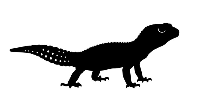 Side view silhouette of a leopard gecko with a thick tail