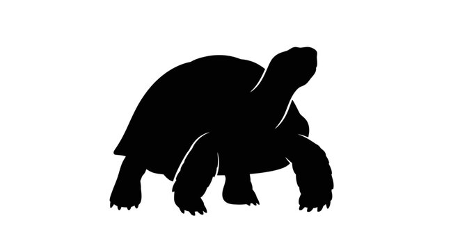Land tortoise silhouette in walking pose