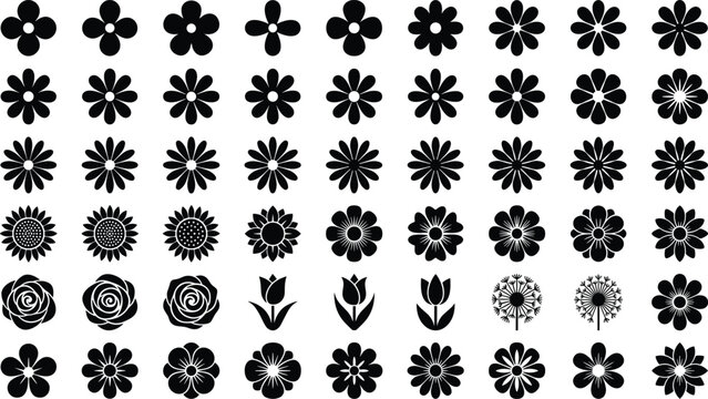Black and white floral and geometric patterns seamless pattern collection floral pattern monochrome