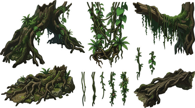 Jungle tree roots and tropical vines vector set, ancient mossy wood stumps with hanging lianas, exotic rainforest vegetation for game environment design