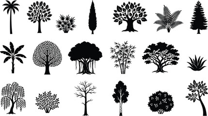 Black and white line of various types of trees and foliage pine maple de © MDMOHIN