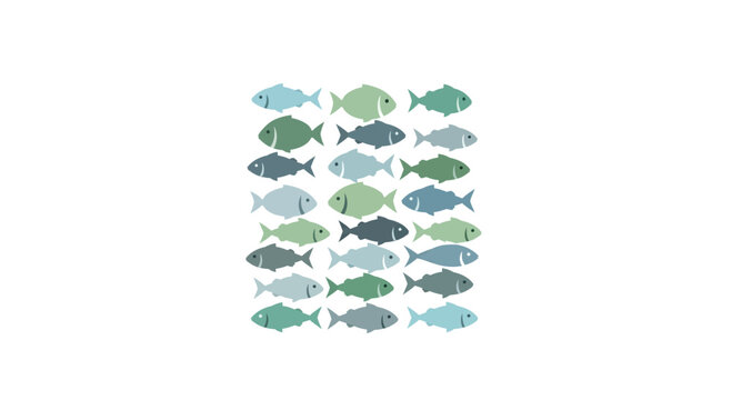 Collection of various fish species.