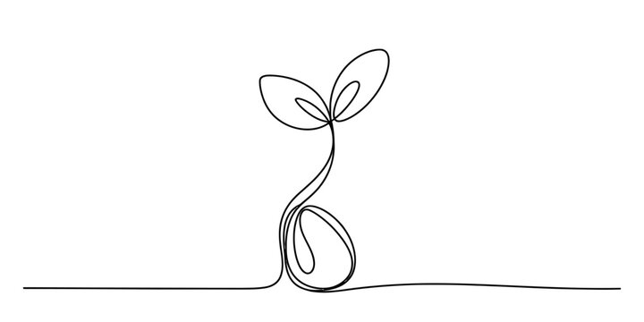 Small plant sprout growing from a seed line art drawing