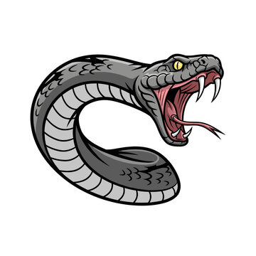 Realistic Snake Body Section with Scales and Texture