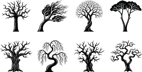 Black and white of various tree types and leaf shapes pine © MDMOHIN