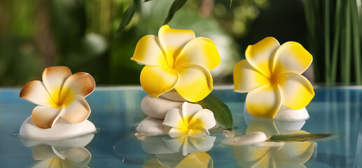 Lake with spa stones and beautiful plumeria flowers in tropical bamboo garden