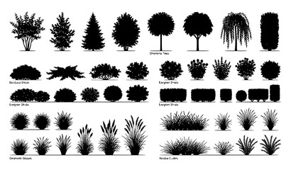 Bushes and plant silhouette CAD vector collection with garden shrubs and grass isolated on white © MdRabbi