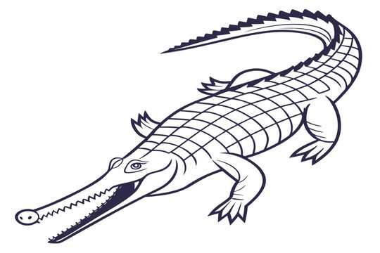 Crocodile and snake vector design