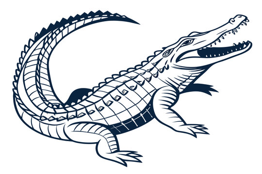 Crocodile and snake vector design