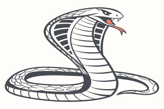 Crocodile and snake vector design