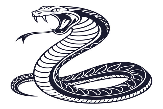 Crocodile and snake vector design